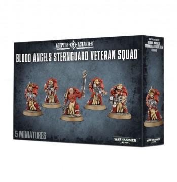 Blood Angels: Sternguard Veteran Squad