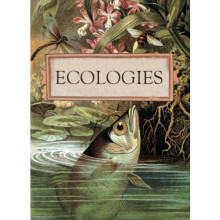 Ecologies