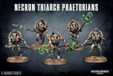 Necron: Lychguard/Triarch Praetorians