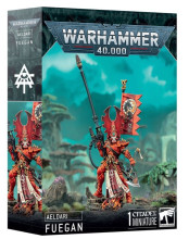 Warhammer 40,000 - Aeldari: Fuegan