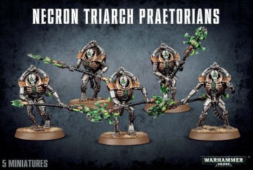 Necron: Lychguard/Triarch Praetorians