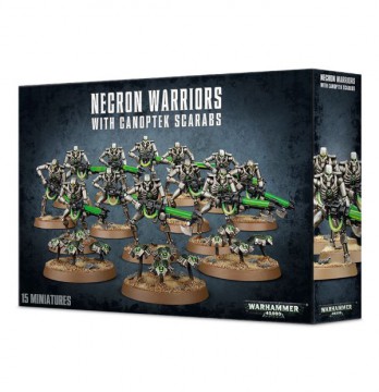 Necron Warriors