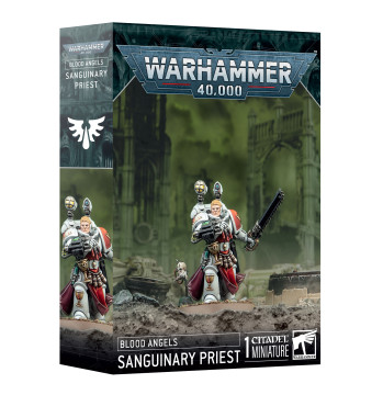 Warhammer 40,000 - Blood Angels: Sanguinary Priest